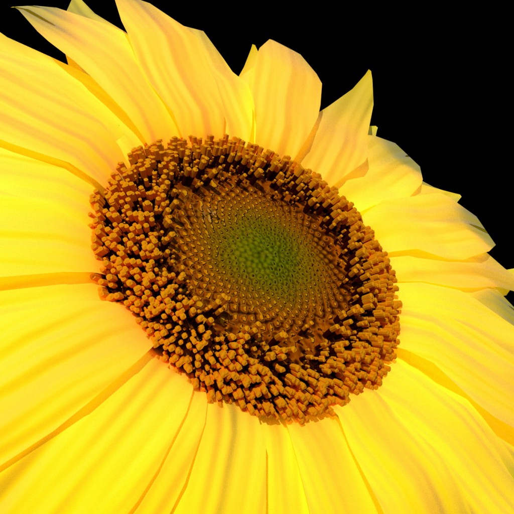 Sunflower preview image 3